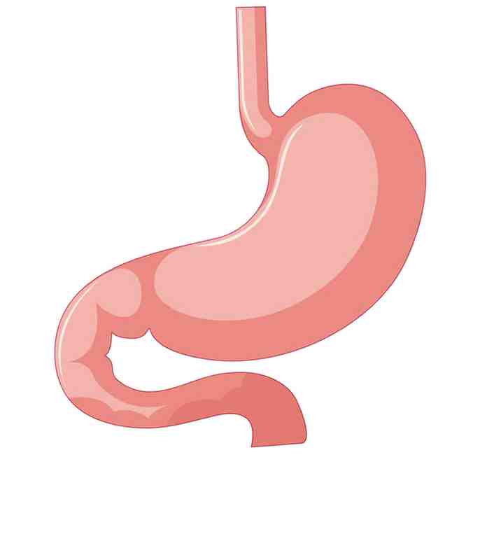 /img/treatment/gastroenterology.png