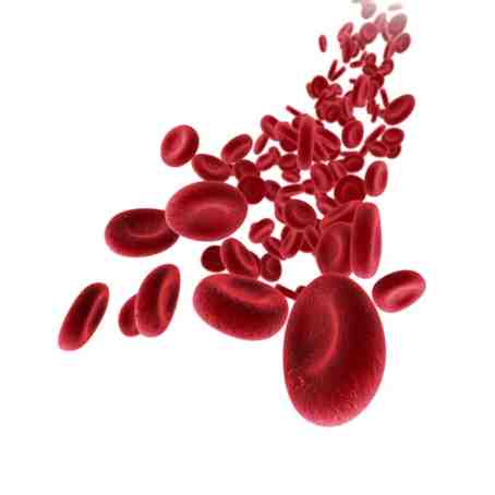 /img/treatment/hematology.png