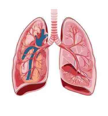 /img/treatment/pulmonology.png
