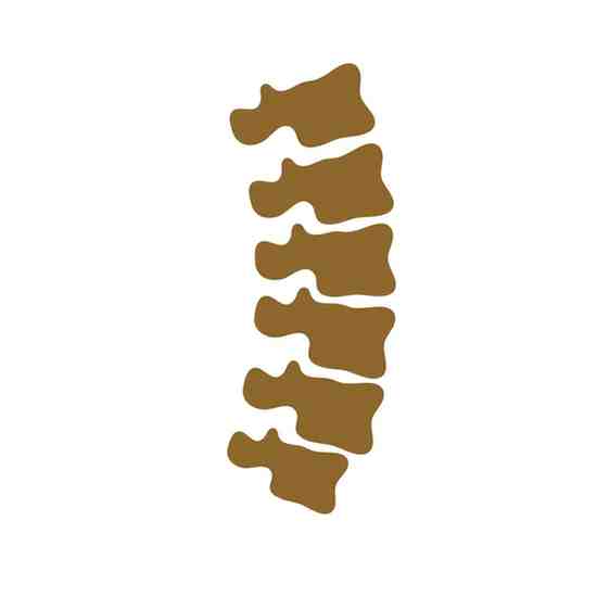 /img/treatment/spine.png