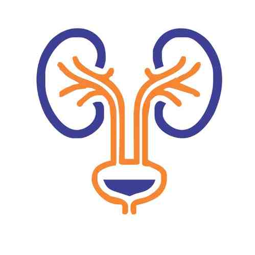 /img/treatment/urology.png